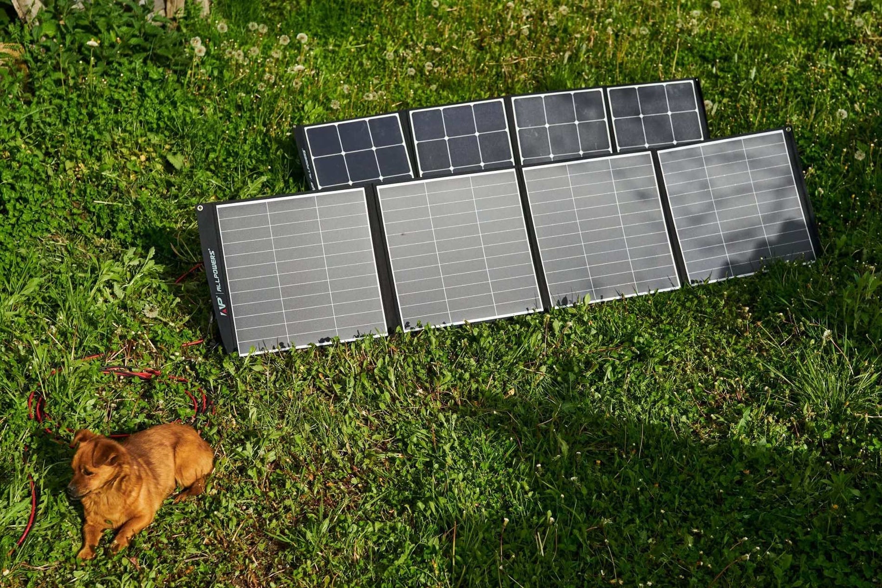 Powering the Future: Solar Panels Ireland Meets Power Station Innovation - ALLPOWERS IE